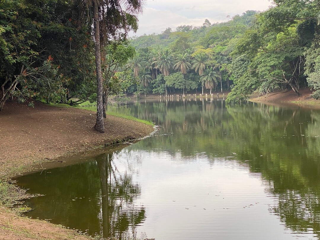 lac 6