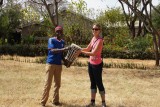 Een souvenir: Elisha's drum