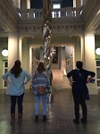 Museum
