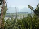 Singapore Airport