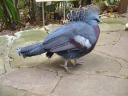 een vogel