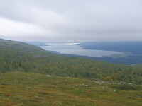 20240810_090551