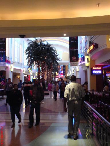Suncoast