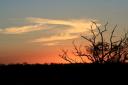 Kruger National Park