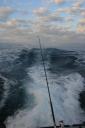 Deep Sea Fishing