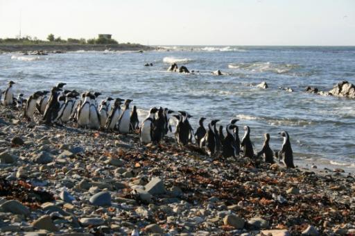 Robben Island