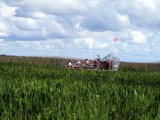 Airboat in moeras. Tegenligger