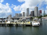 Miami's Marina