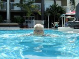 Jaws 60