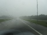 It's raining cats and dogs