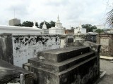 St Louis Cemetry no 1