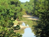 Coles Creek (langs de Natchez Trace Parkway)