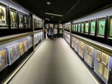 Hall of Gold