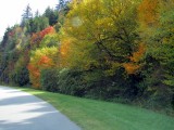 Herfstkleuren
