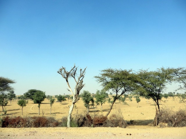 Onderweg.