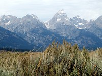 Grand Teton