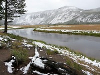 Langs de Madison River