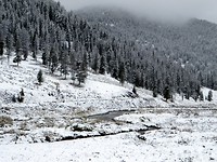 I'm dreaming of a white Christmas ....