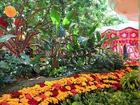 The Wynn Hotel