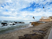 De fortificatien van Essaouira