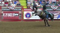 Saddle Bronc Riding