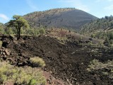 Bij Sunset Crater Vulcano