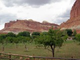 Capitol Reef