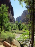 Zion National PArk