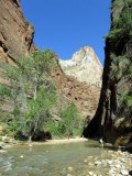 Zion National Park
