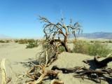 Death Valley