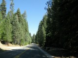de weg langs het Sequoia National Park.