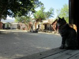 Silver City Ghost Town