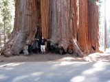 Sequoia National Park