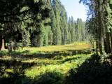 Sequoia National Park