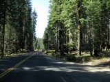 Yosemite National Park