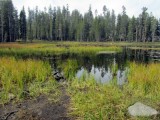 Siesta Lake Yosemite Park