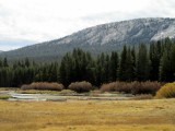 Tuolumne Meadows Yosemite
