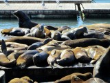 Fisherman’s Warf.