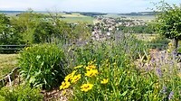 Zicht op Dun-sur-Meuse