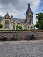 Basiliek, Thorn