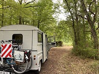 Lunchen in het bos