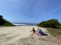 Picknicken aan zee. Mel is aan het struinen.