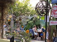The Garden.