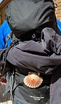 Pelgrim met Jacobsschelp