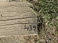 Aantal treden naar het strand.