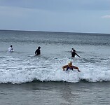 Genieten in de golven.
