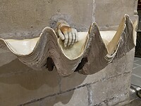 Een doopvont schelp in de kerk.