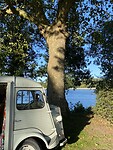 Camping L’ Isle Verte nummer 14