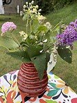 Geplukte bloemetjes