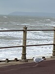 Hastings